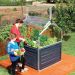 4' x 4' Palram Canopia Plant Inn Raised Bed Small Mini Greenhouse (1.18m x 1.18m)