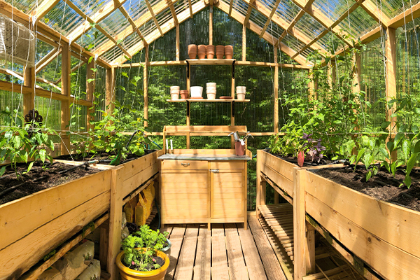 inside a Greenhouse