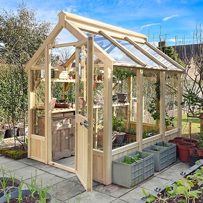 an 8x6 wooden greenhouse with 2 shelves